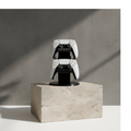 Dual Controller & Headset Stand – PS5