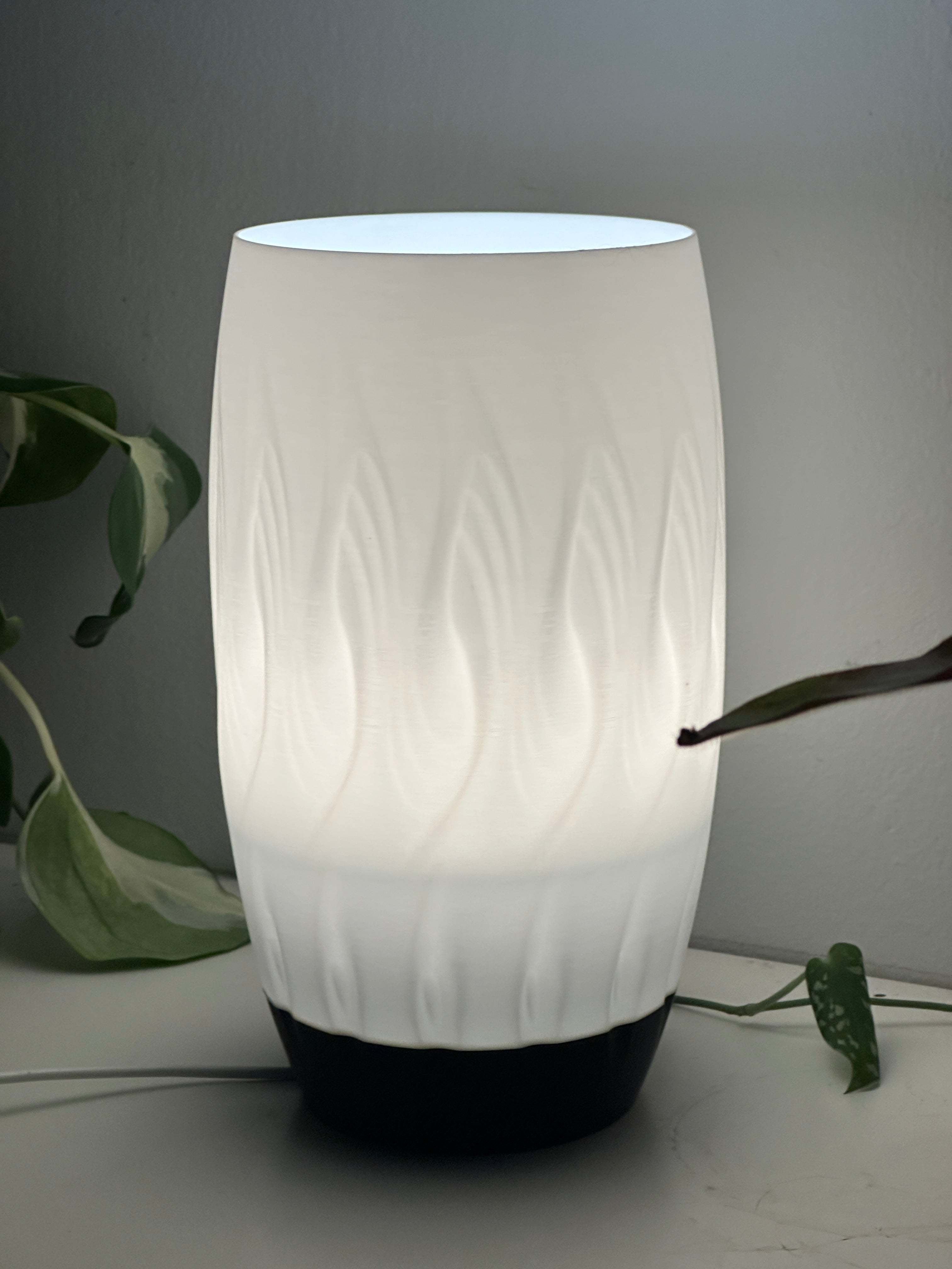 Velora Lamp