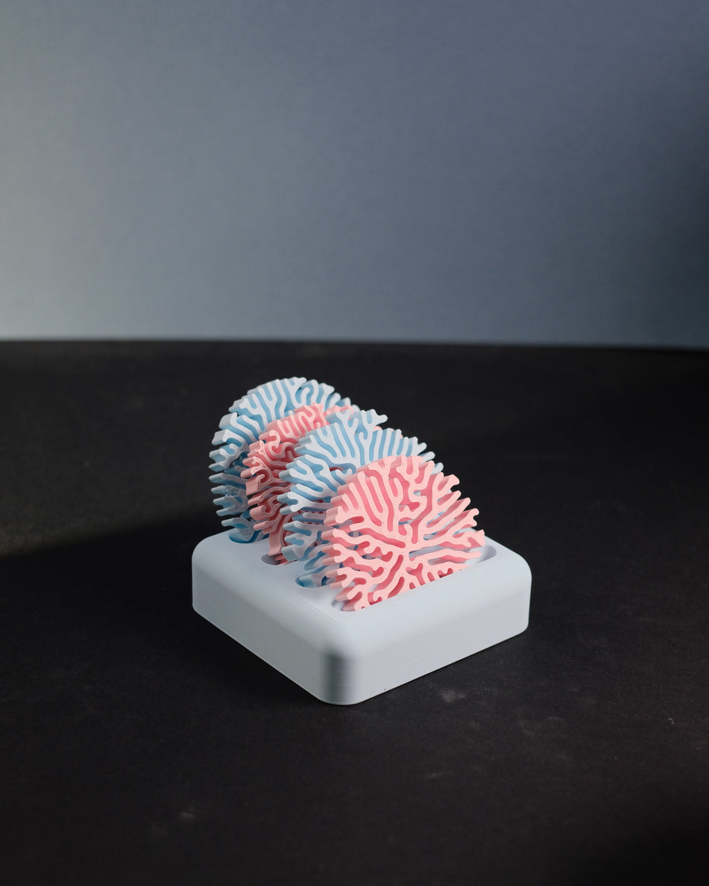 Coral coaster set with stand, view 14