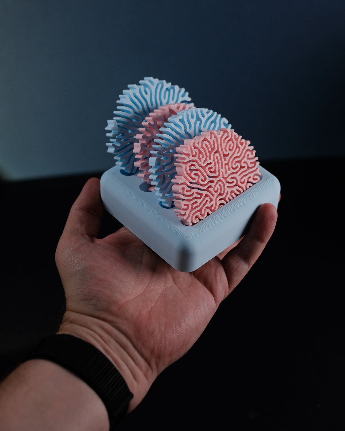 Coral coaster set with stand, view 15