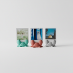 Turquoise, coral and gray crab photo holders shown together on a clean white background