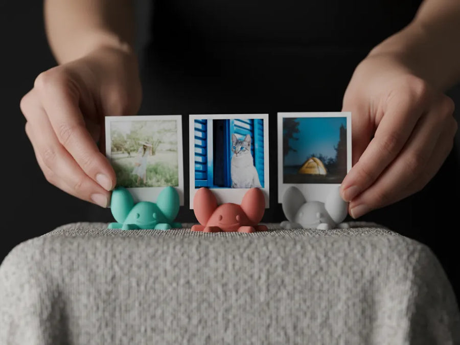 Crabby kawaii instant photo holder displaying a small photo