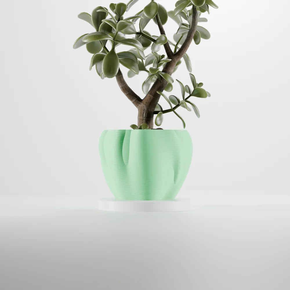 Organic curves planter view 2