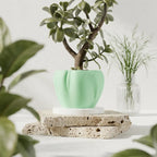 Organic curves planter view 5