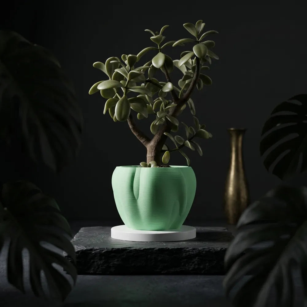Organic curves planter view 6