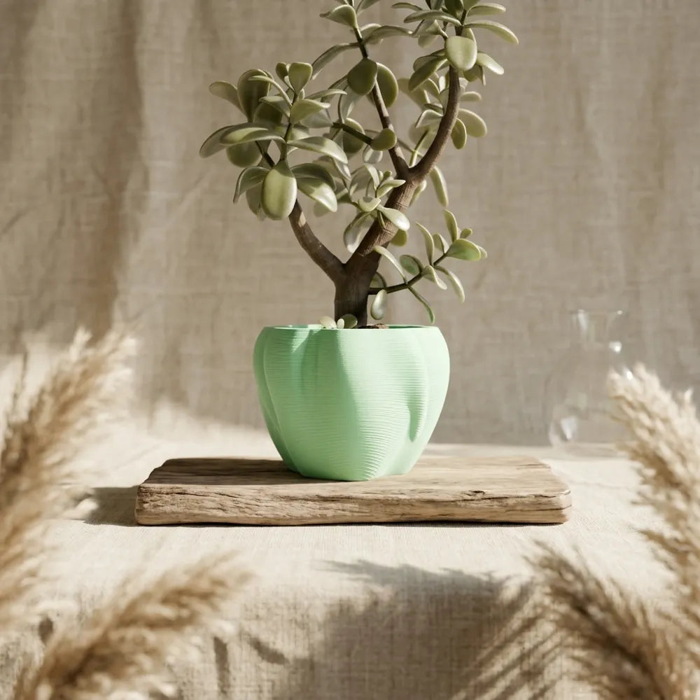 Organic curves planter view 8