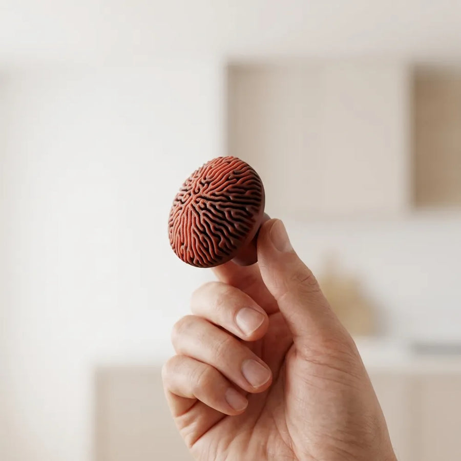 Coral style cabinet handle view 4