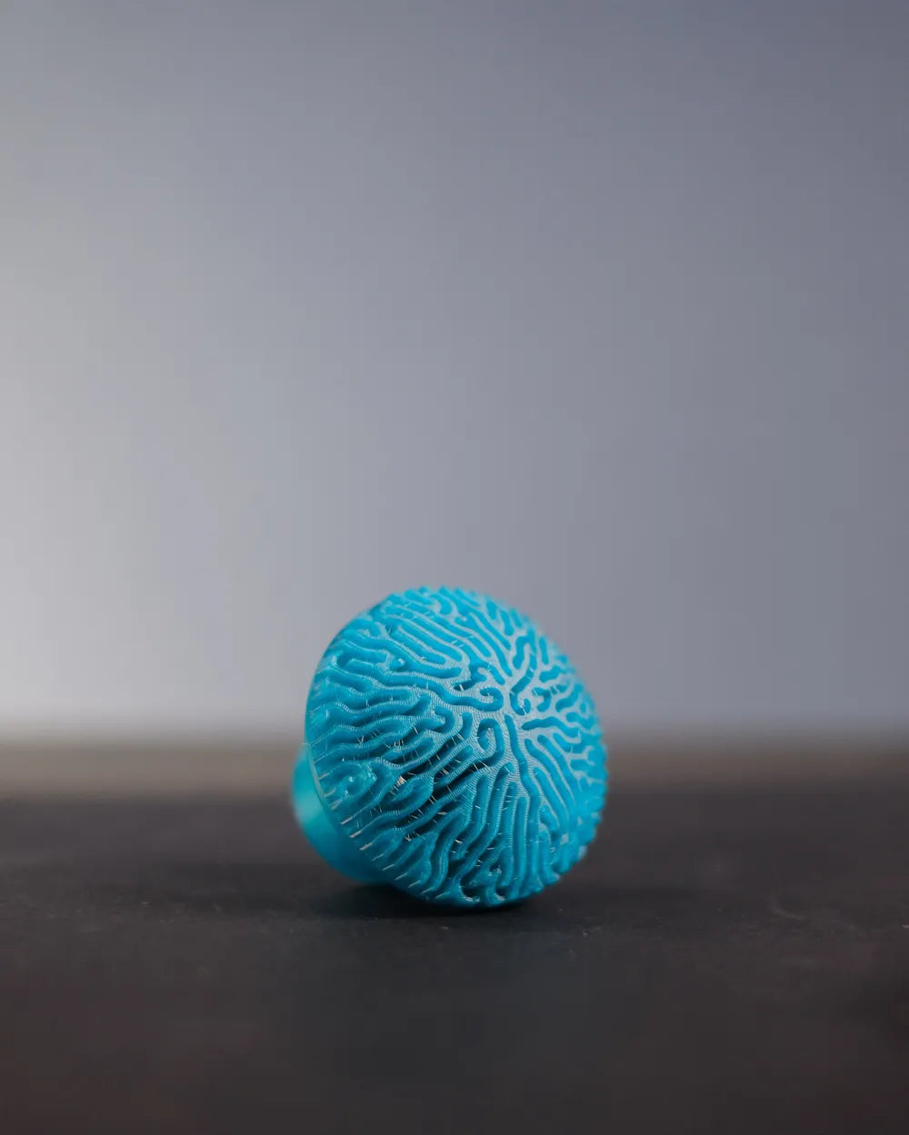 Coral style cabinet handle view 12