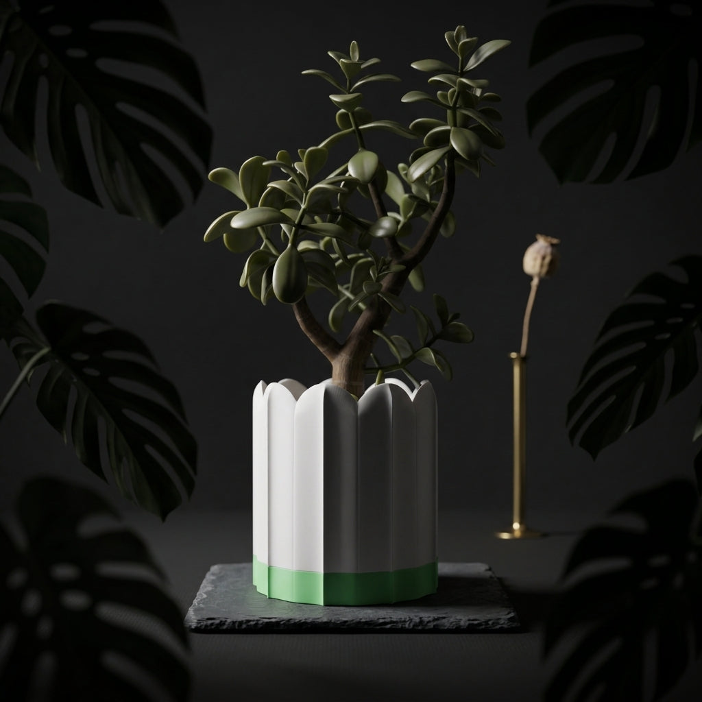 White ridged planter with green drip tray in a dark botanical setting