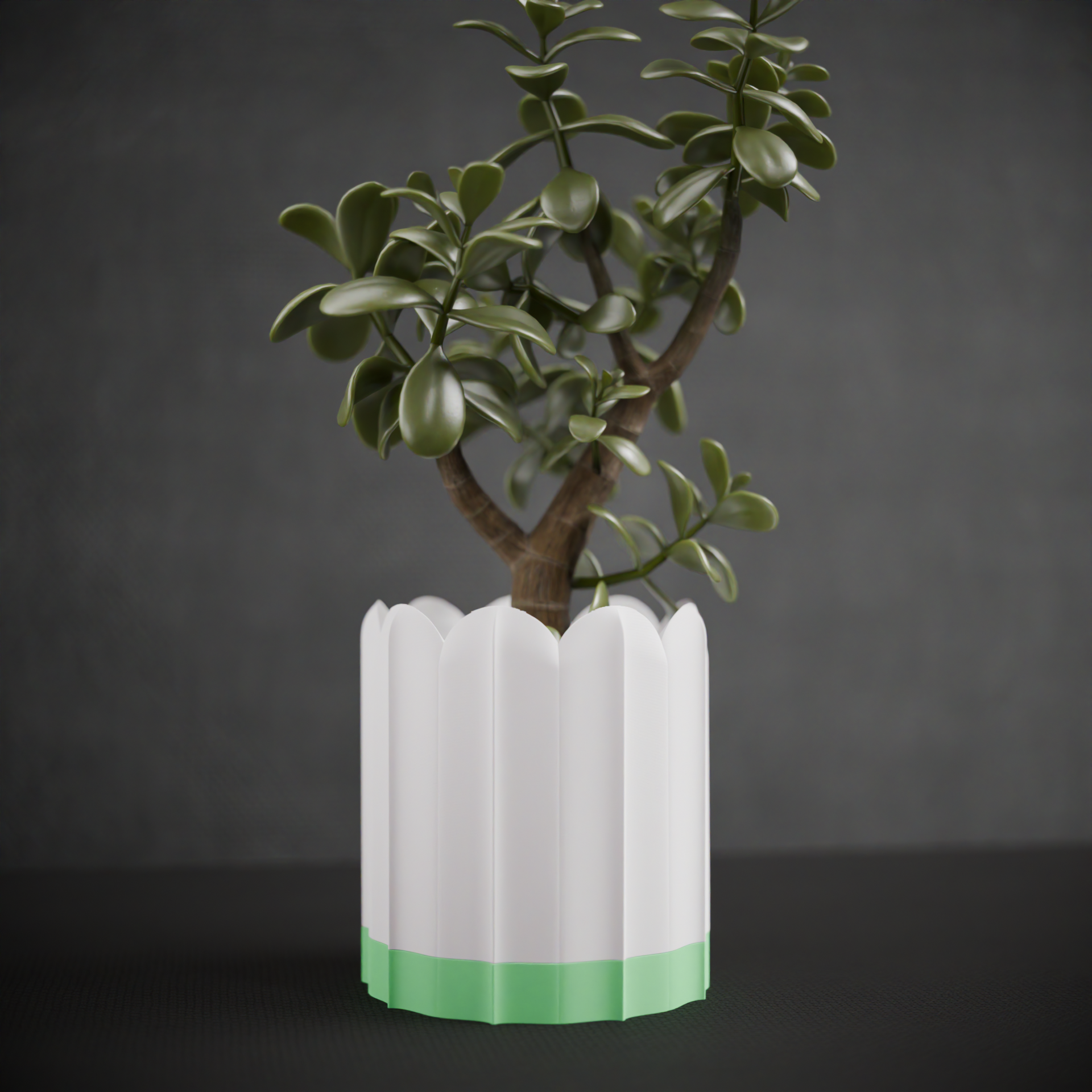 Front view of a white ridged planter with a green removable drip tray