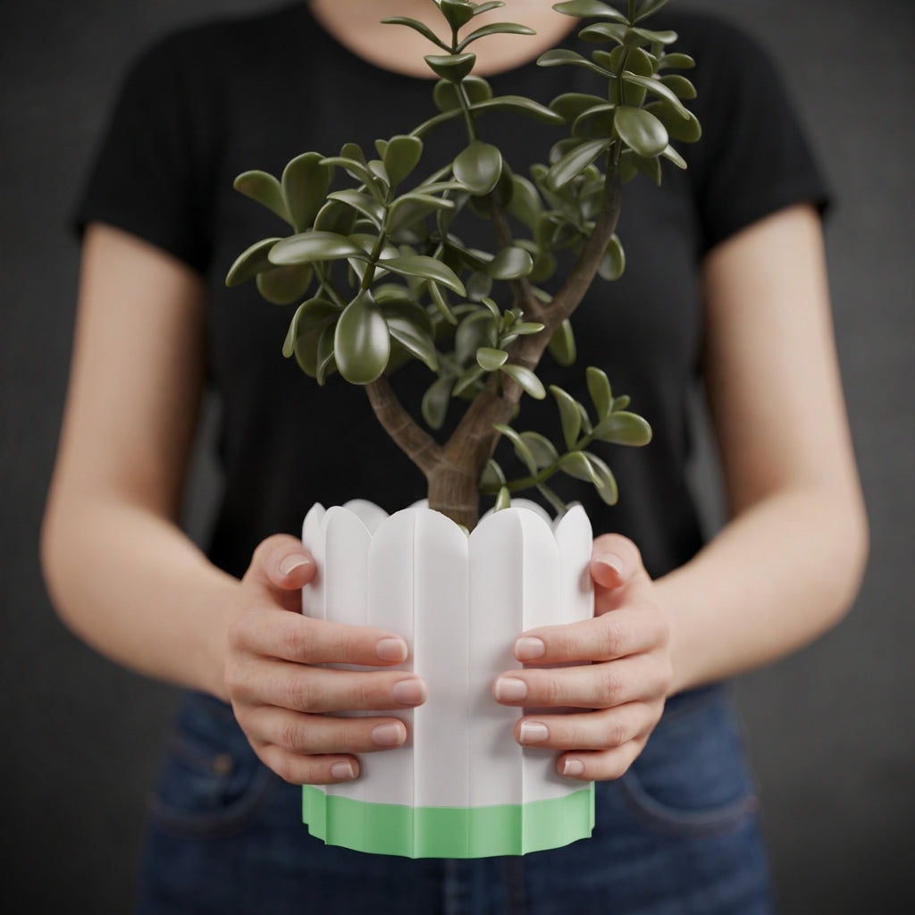 Person holding a white ridged planter with a green drip tray and leafy plant