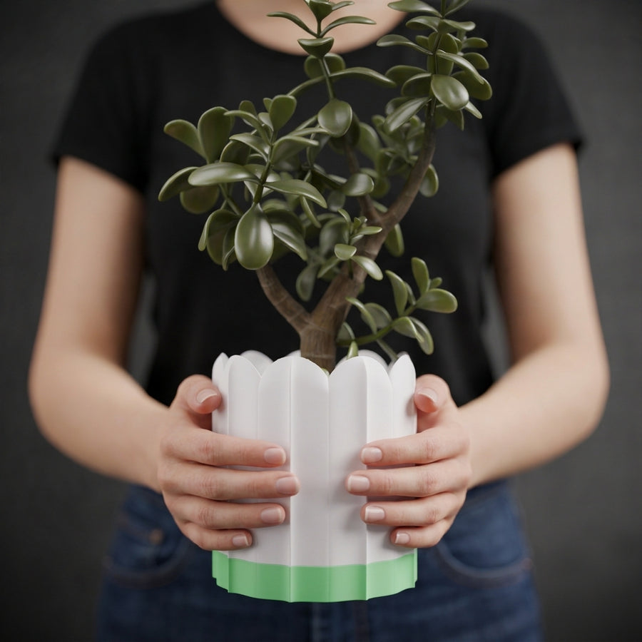 Person holding a white ridged planter with a green drip tray and leafy plant