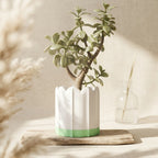 White ridged planter with green drip tray on a light natural tabletop