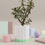 White ridged planter with green drip tray styled among soft pastel decor