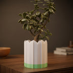 White ridged planter with green drip tray displayed on a warm wooden table