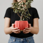 Sculptural ribbed indoor planter – product view 7